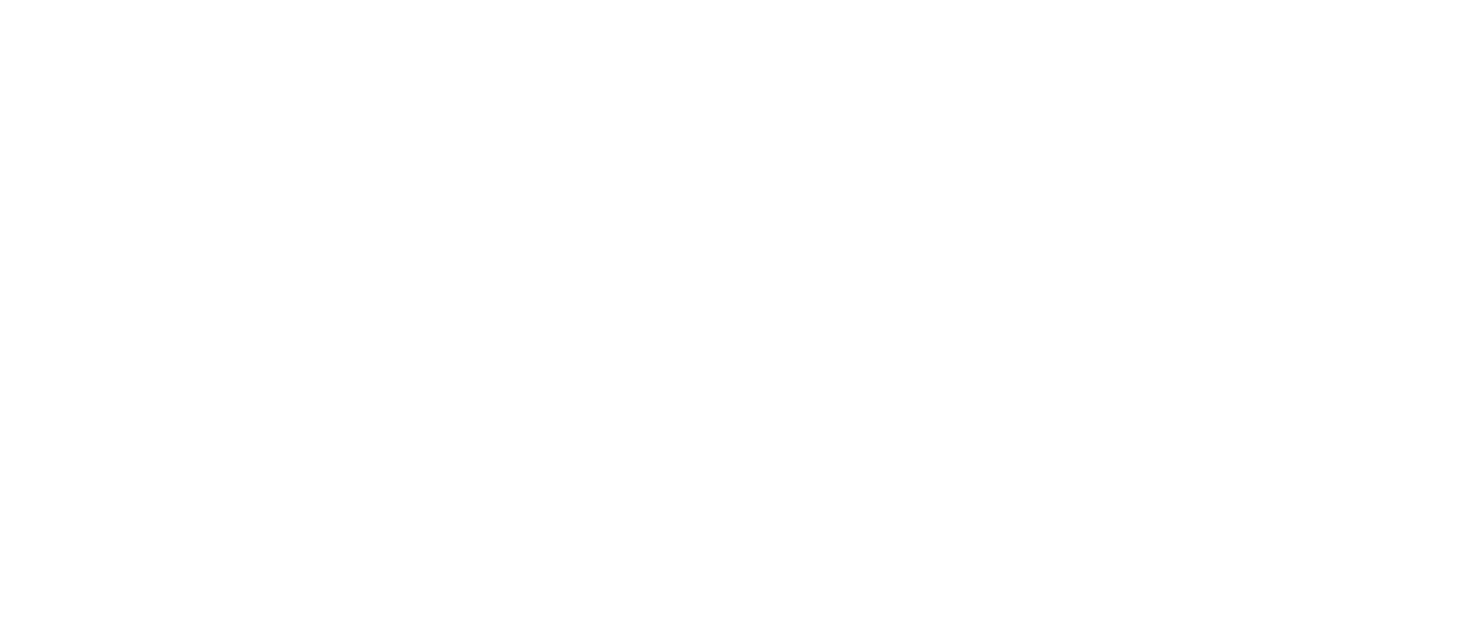 BirdsGa-Logo-Primary-white.png