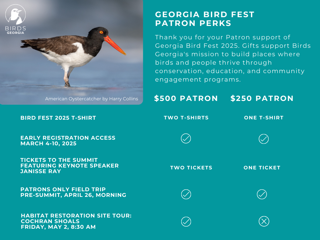 Georgia%20Bird%20Fest%20Patron%20Chart(1).png